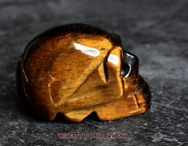 Hexenshop Dark Phönix Kristall Schädel "Triglaw" aus Tigerauge